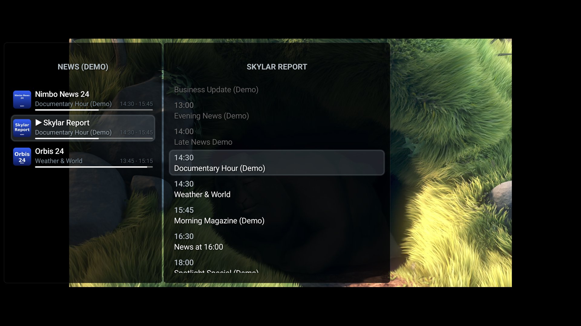 ViPDashPlayer Screenshot 5