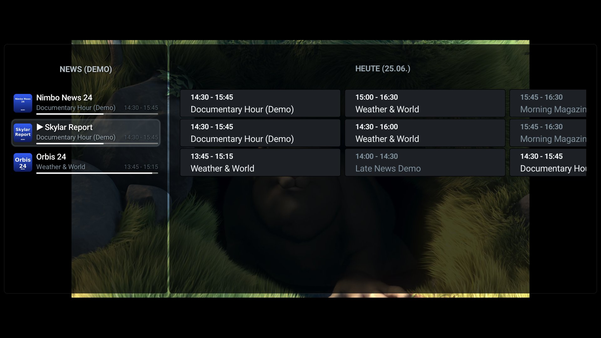 ViPDashPlayer Screenshot 6
