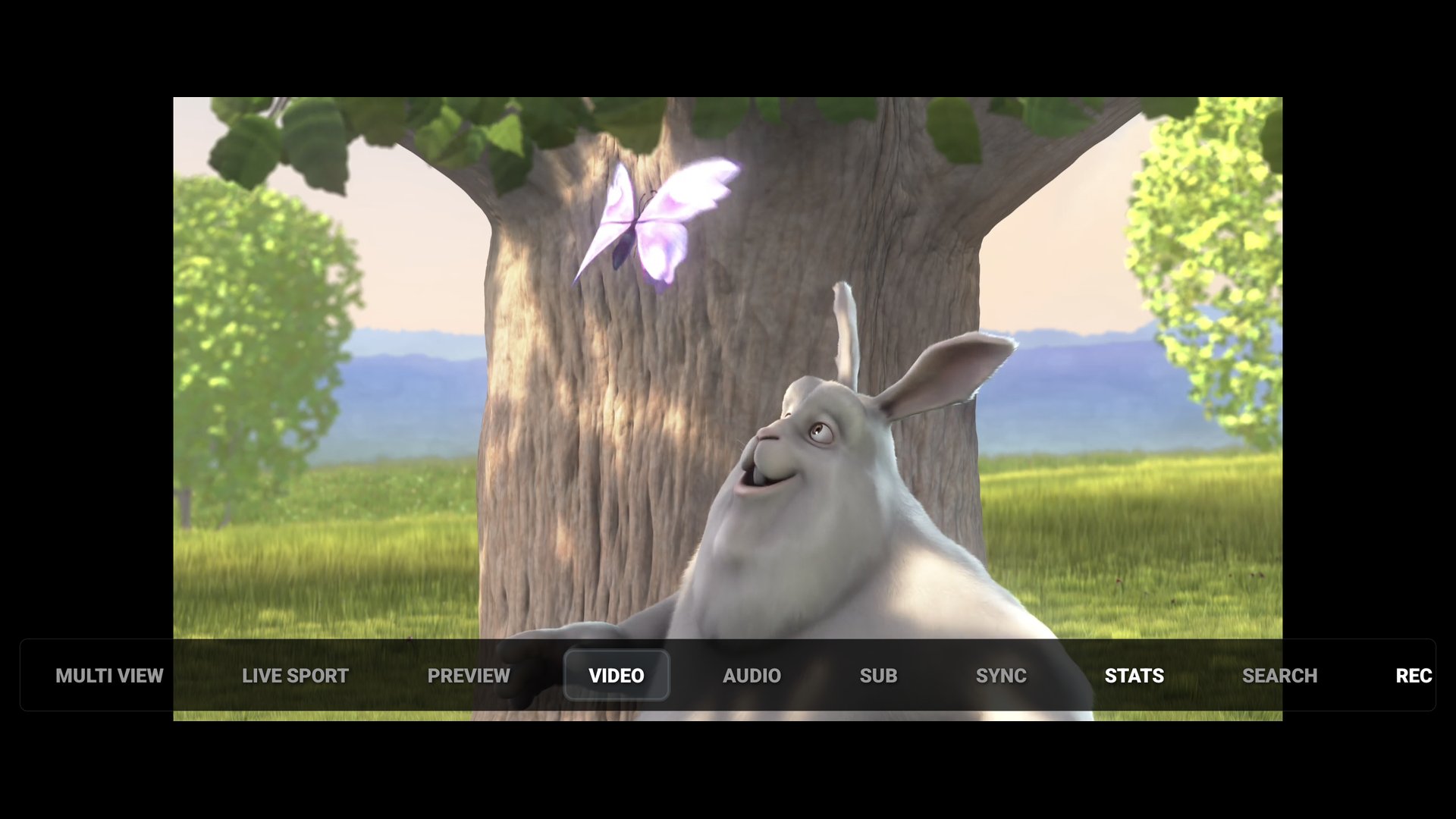 ViPDashPlayer Screenshot 9