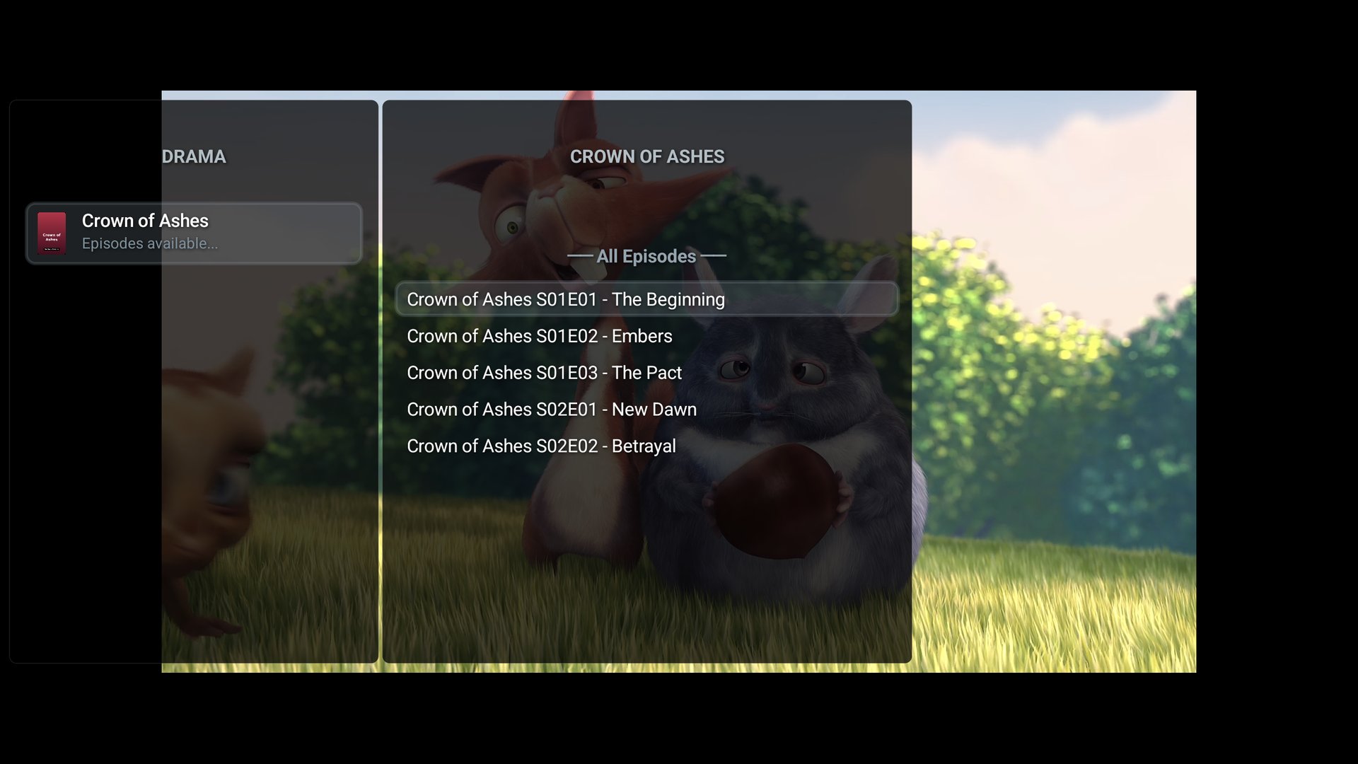 ViPDashPlayer Screenshot 14